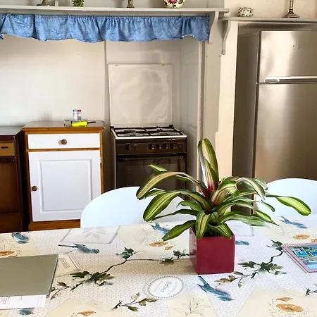 Gite Piscine Chauffee 28 Degre Padirac&Rocamadour Prázdninový dům *