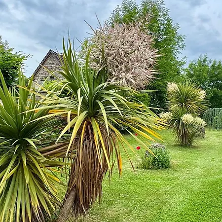 Plaisir D Eau Avec Piscine Couverte Chauffee 28 Degre Padirac Rocamadour Feriehus