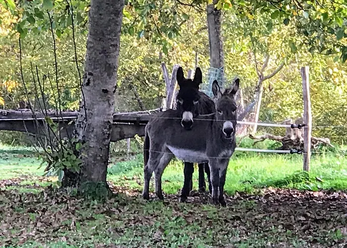 Plaisir D Eau Avec Piscine Couverte Chauffee 28 Degre Padirac Rocamadour Σπίτι διακοπών *