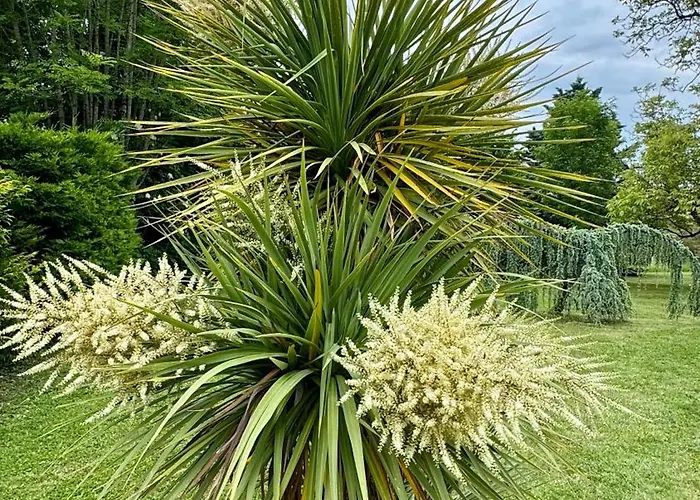 Gite Piscine Chauffee 28 Degre Padirac&Rocamadour Prázdninový dům *